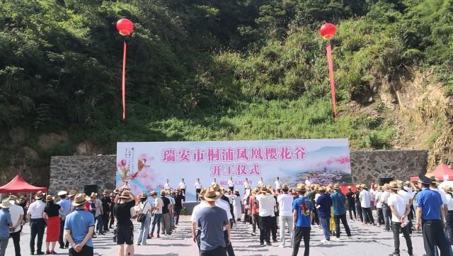 赏樱期全国最长！瑞安桐浦千亩樱花谷启动建设，凤凰梵音奏响共富新篇